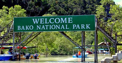 Bako National Park Tour in Kuching - Klook India