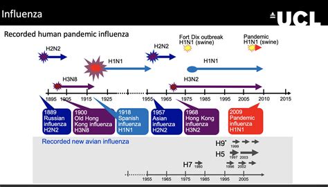 Prof Francois Balloux on Twitter: "@alanmcn1 @pathogenomenick @MikeyJ There have been more than ...