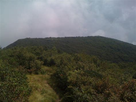 Elevation of Beech Bluff, TN, USA - Topographic Map - Altitude Map