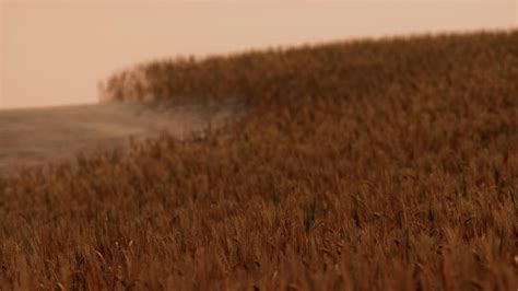 Agriculture Animation 的图像结果