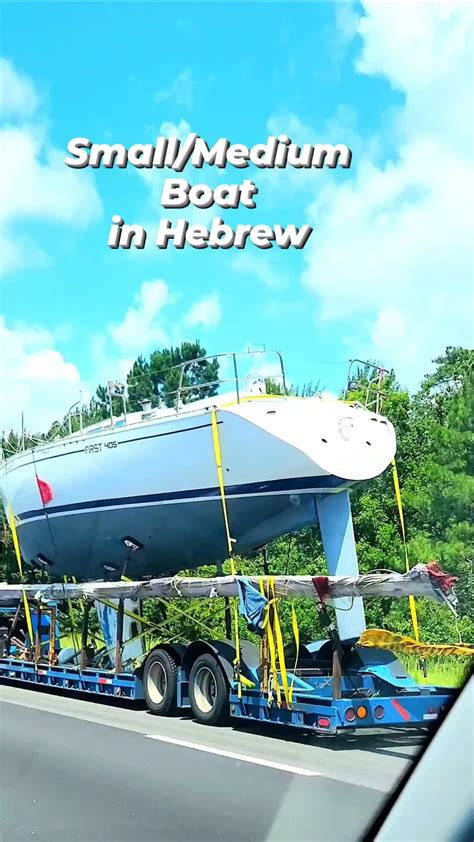 Like a fish out of water, in Hebrew! : r/HebrewbyInbal