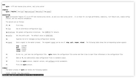 Image result for Nginx Documentation