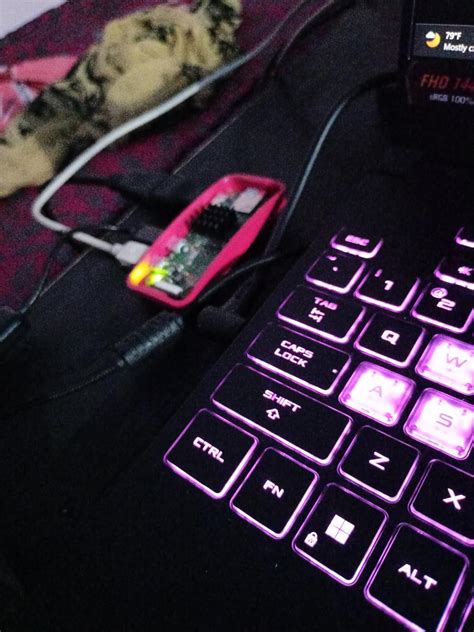 Raspberry Pi Zero W (Wireless) & Official Case : Amazon.in: Computers ...