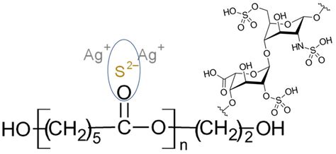 Multifunctional Biological Performance of Electrospun PCL Scaffolds ...