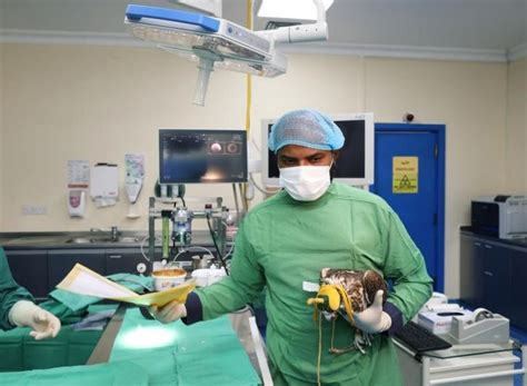 A Sneak Peek Inside The World's Largest Falcon Hospital In Abu Dhabi