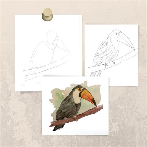 Image result for Drawing Animals Using Basic Shapes