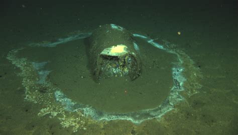 How Scientists Uncovered A Massive Underwater Waste Dump Off Los ...