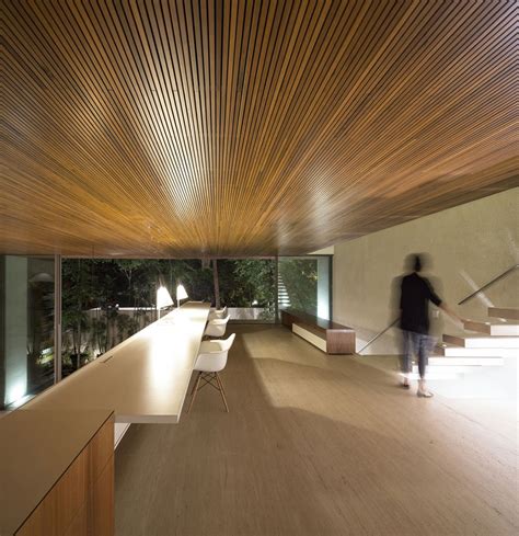Modern Wood Paneling