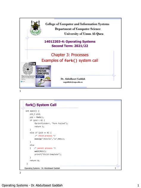 Fork System Call 的图像结果