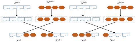 Ultra-Short-Term Wind-Power Forecasting Based on the Weighted Random ...