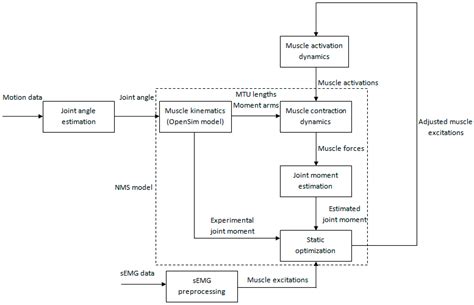 A Pilot Study of Individual Muscle Force Prediction during Elbow ...