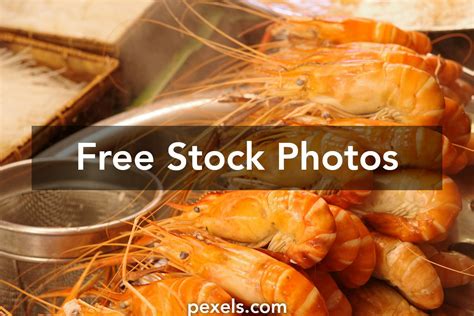 Image result for Shrimp Shell