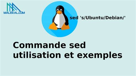 Image result for Commande Sed Avec Python