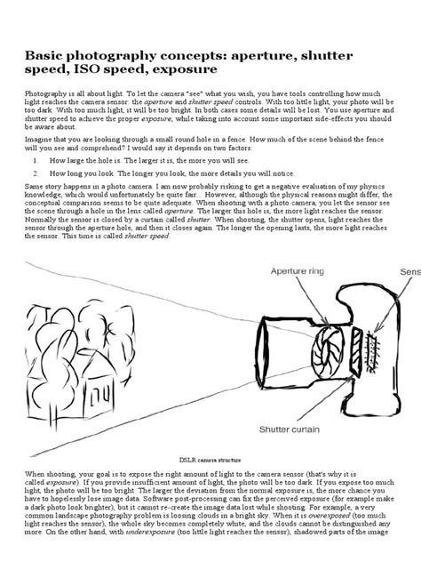 Basic Photographer 的图像结果