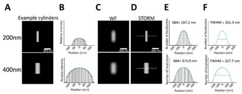 Structure-Based Analysis of Protein Cluster Size for Super-Resolution ...