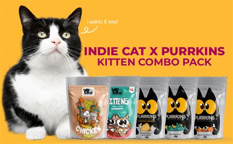 Indie Cat x Purrkins Kitten Wet Food (2–12 Months) | Chicken, Lamb ...
