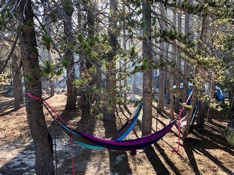 BRIDALVEIL CREEK CAMPGROUND (Yosemite National Park) - Campground ...