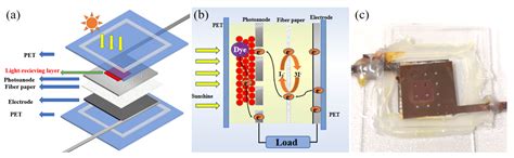 A Novel Dye-Sensitized Solar Cell Structure Based on Metal Photoanode ...