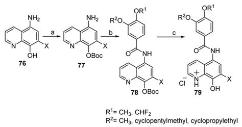 Recent Advances in the Synthesis and Biological Activity of 8 ...