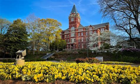 Graduate Program Rankings 的图像结果