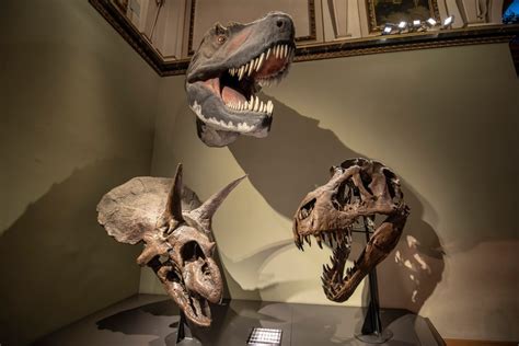 4 facts on the Age of the Dinosaurs | Popular Science