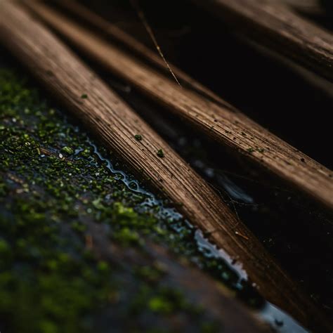 What Are Technology's Environmental Consequences? → Question