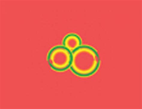 Image result for Open File Vector Photoshop