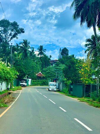 Alankara Lanka Tours - Negombo | Tripadvisor
