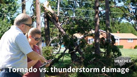 Straight Line Wind Damage 的图像结果