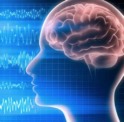 Image result for Neural Monitoring Software