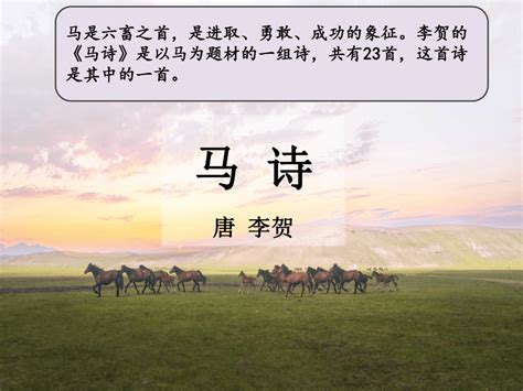 今日形容马的优美句子是（关于马的现代诗）_华夏文化传播网