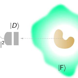Projective Measurement 的图像结果