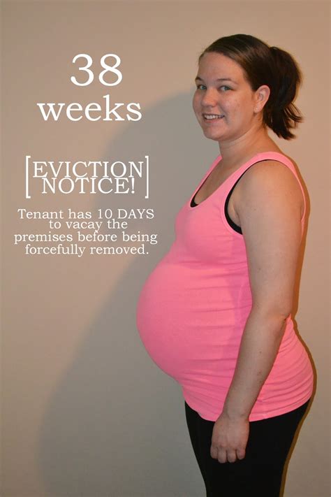 Life With Baby Weber: 38 weeks