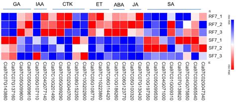 Study on the Role of Phytohormones in Resistance to Watermelon Fusarium ...