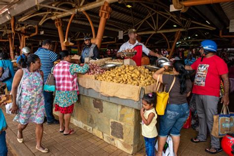 Mauritius People and Local Areas 的图像结果