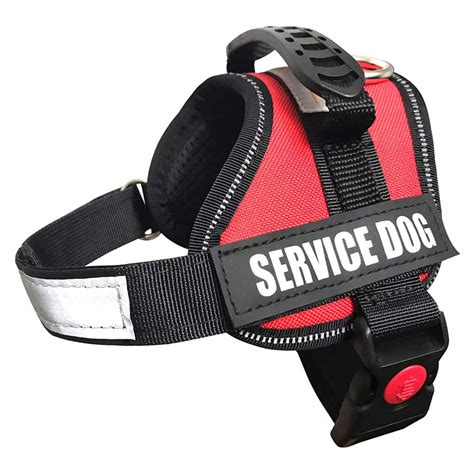 Top 10 Best Reflective Dog Vests in 2025 Reviews | Buyer's Guide