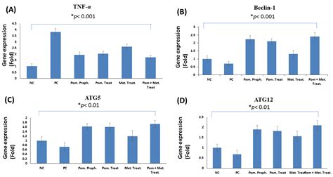 Unravelling the In Vitro and In Vivo Anti-Helicobacter pylori Effect of ...
