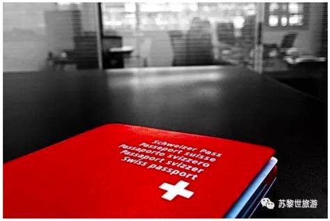 在瑞士办理旅行证全过程/中瑞家庭 - YouTube