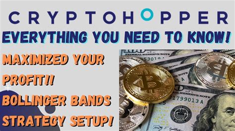 Image result for Cryptohopper Apibot True Wallet