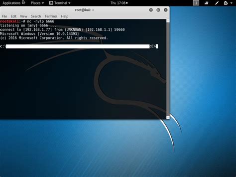 Netcat Download 的图像结果