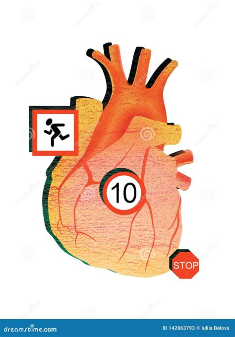 Human Heart and Cardio Load. Digital Illustration Stock Illustration ...