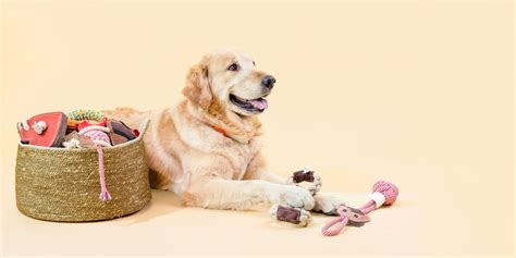 About Us – Pawpourri