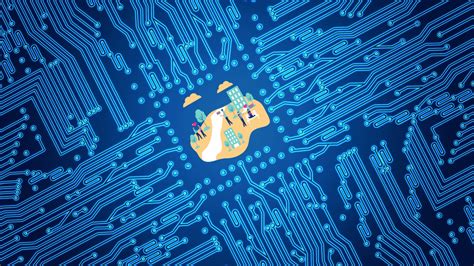 Local Software Example 的图像结果