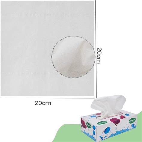 Biogreen || Facial Tissue Premium