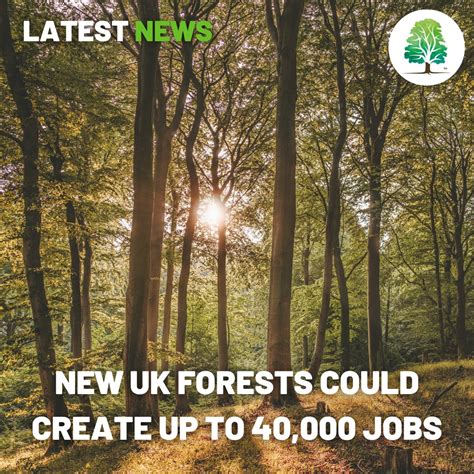 Tree Planting Jobs Northern Ireland at Edward Cramer blog