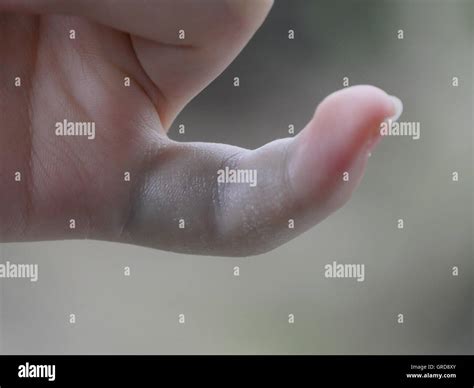 Pinky hi-res stock photography and images - Alamy