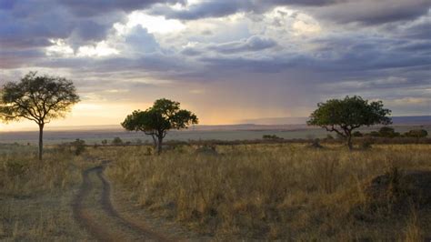 Which Safari to go in Kenya for the best Wildlife Experience?