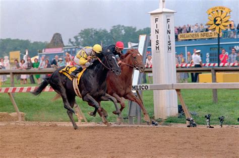 Idol Horseトップ5: 競馬史に残る「世紀の一騎打ち」