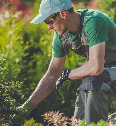 Image result for Cheap String Trimmers