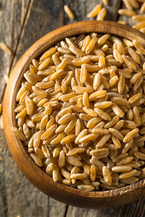 What Is Kamut? - Daily Medicos